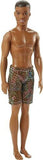 Barbie Beach Doll Assortment DWJ99
