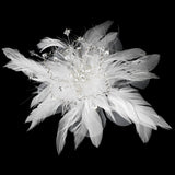 Clip 1531 with Additional Brooch Pin Component