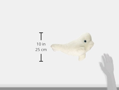 Aurora - Destination - 14" Beluga Whale