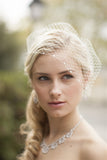 Bold Crystal Lace Applique Wedding Veil with French Net Birdcage Blusher & Scattered Crystal Edge 4103V