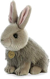 Aurora - Miyoni - 10" Angora Rabbit Grey