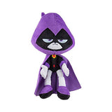 Teen Titans Go! Jazwares 7 Inch Plush Raven