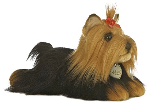 Aurora - Miyoni - 11" Yorkshire Terrier