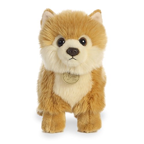 Aurora - Miyoni - 9" Pomeranian Puppy | You Are My Everything (Yame Inc.)