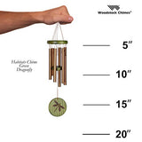 Woodstock Chimes HCGD The Original Guaranteed Musically Tuned Chime Habitats-Dragonfly, Green