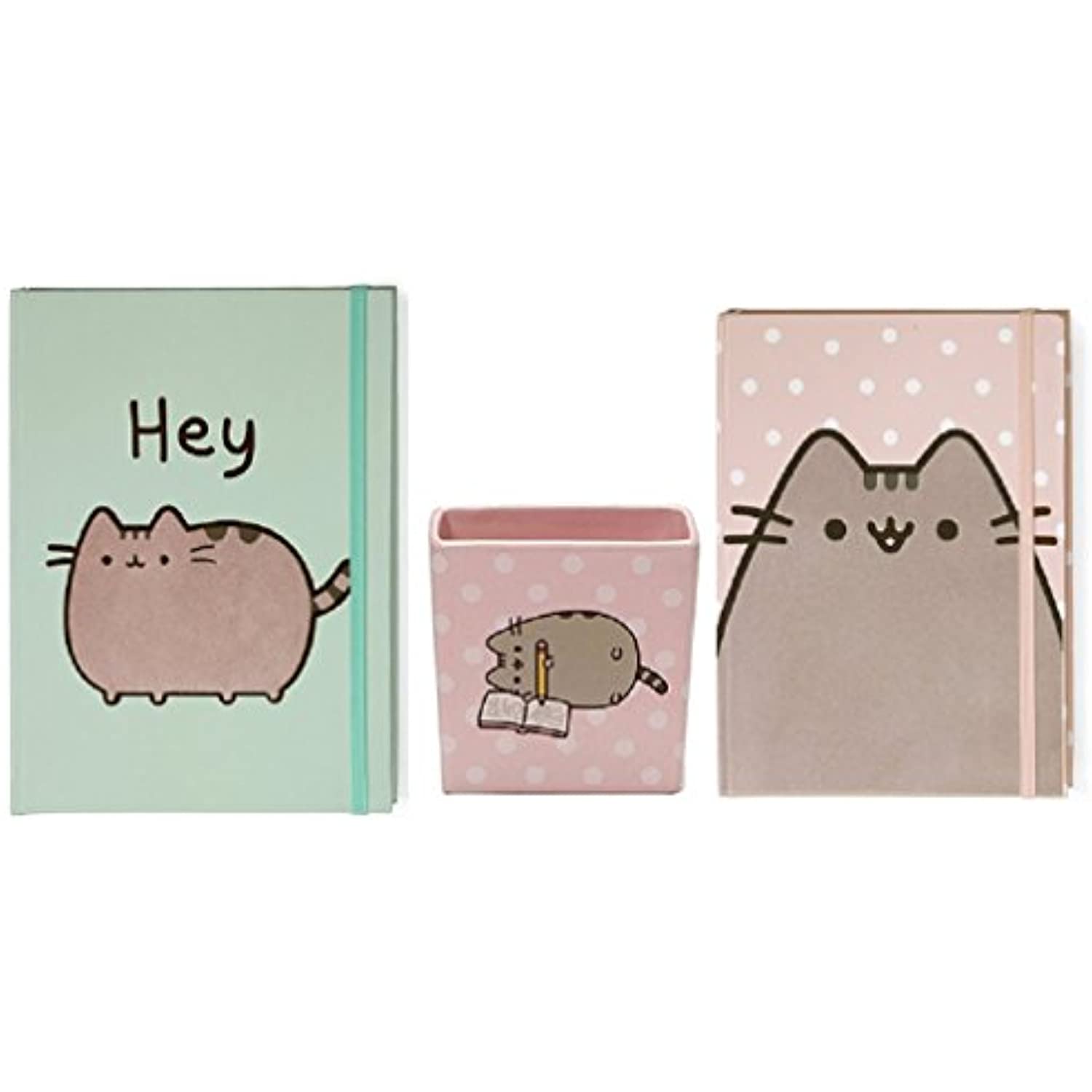 Enesco Pusheen Pencil Holder Bundle with Polka Dot Journal and Hey Journal