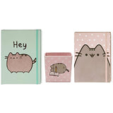 Enesco Pusheen Pencil Holder Bundle with Polka Dot Journal and Hey Journal