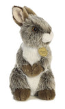 Aurora - Miyoni - 10" American Chinchilla Standing