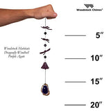 Woodstock Chimes CDWU The Original Guaranteed Musically Tuned Chime Habitats Dragonfly Agate Wind Bell, Purple