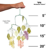 Woodstock Chimes C720 The Original Guaranteed Musically Tuned Chime Asli Arts Collection, 21-Inch, Capiz - Grapes