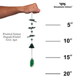 Woodstock Chimes CDWG The Original Guaranteed Musically Tuned Chime Habitats Dragonfly Agate Wind Bell, Green