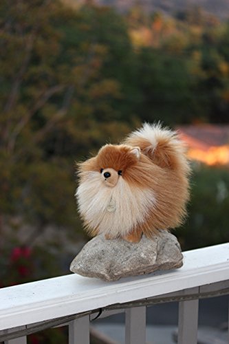 Aurora - Miyoni - 9" Pomeranian