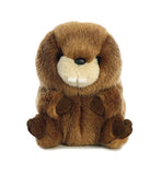 Aurora - Rolly Pet - 5" Bucky Beaver