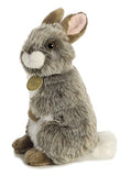 Aurora - Miyoni - 10" American Chinchilla Standing