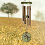 Woodstock Chimes HCGD The Original Guaranteed Musically Tuned Chime Habitats-Dragonfly, Green