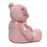 Baby GUND My First Teddy Bear Stuffed Animal Plush, Pink, 18"