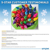 Springbok 500 Piece Jigsaw Puzzle Twist of Color