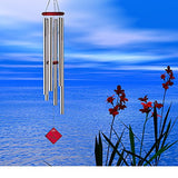 Woodstock Chimes of Neptune, Silver- Encore Collection (DCS54)