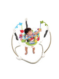Fisher Price Discover ‘n Grow™ Jumperoo™ W9466