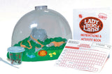 Ladybug Land Kit-