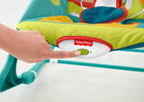 Fisher Price Infant-to-Toddler Rocker