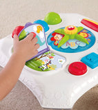 Fisher Price Animal Friends Learning Table CCP79