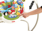 Fisher Price Discover ‘n Grow™ Jumperoo™ W9466