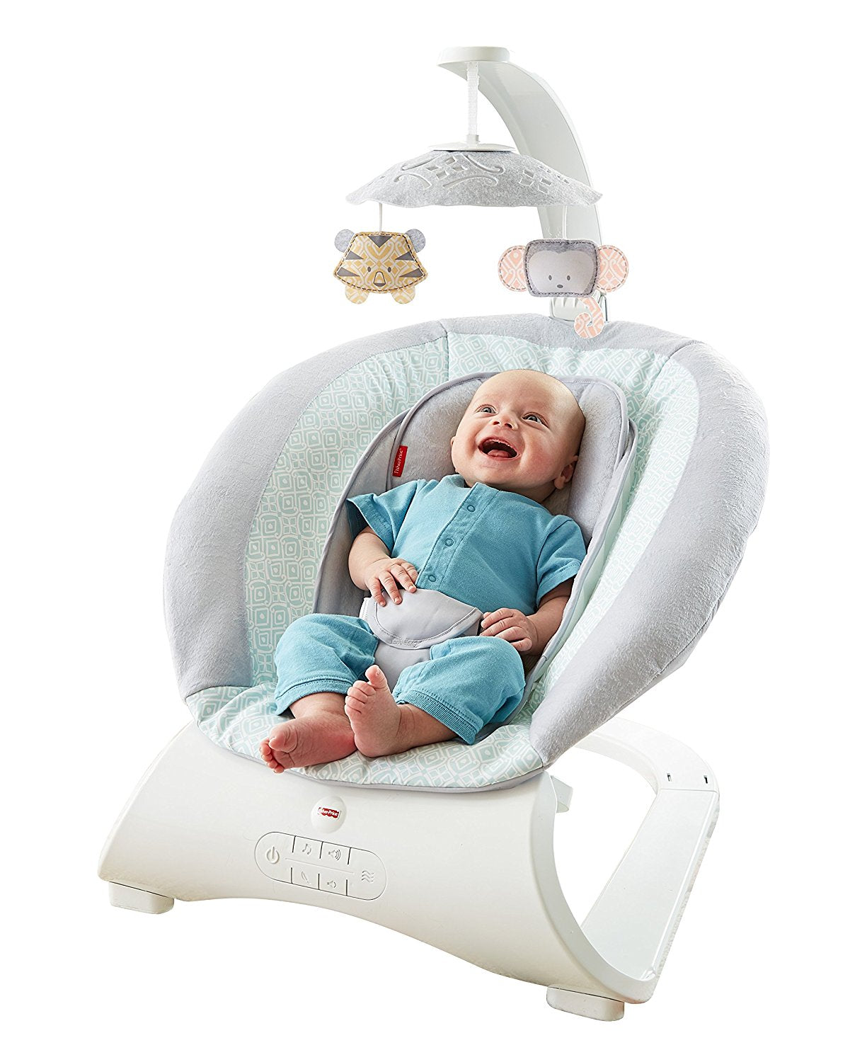 Fisher Price Sweet Surroundings Deluxe Bouncer CMR14