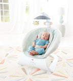 Fisher Price Sweet Surroundings Deluxe Bouncer CMR14