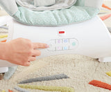 Fisher Price Sweet Surroundings Deluxe Bouncer CMR14