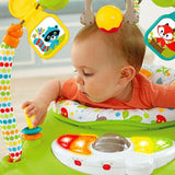 Fisher Price Woodland Friends SpaceSaver Jumperoo® CBV62