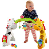 Fisher Price Newborn-to-Toddler Play Gym CCB70