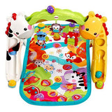 Fisher Price Newborn-to-Toddler Play Gym CCB70
