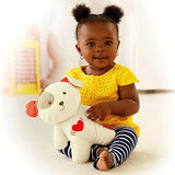 Fisher Price Snugapuppy™ Calming Vibrations Soother CHR31