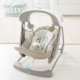 Fisher Price Deluxe Take-Along Swing & Seat DYH31 or CJV03