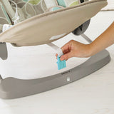 Fisher Price Deluxe Take-Along Swing & Seat DYH31 or CJV03