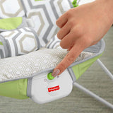 Fisher Price Baby's Bouncer - Geo Meadow / Pink Ellipse