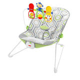 Fisher Price Baby's Bouncer - Geo Meadow / Pink Ellipse