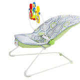 Fisher Price Baby's Bouncer - Geo Meadow / Pink Ellipse
