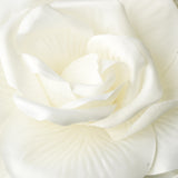 5" Elegant Bridal  Flower Hair Clip 428