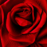 5" Elegant Bridal  Flower Hair Clip 428