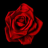 5" Elegant Bridal  Flower Hair Clip 428