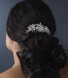 Comb 1855 Silver Clear