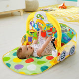 Fisher Price 3-in-1 Convertible Car Gym DFP07