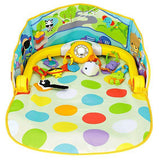 Fisher Price 3-in-1 Convertible Car Gym DFP07