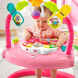 Fisher Price Floral Confetti SpaceSaver Jumperoo DKT02