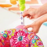 Fisher Price Floral Confetti SpaceSaver Jumperoo DKT02