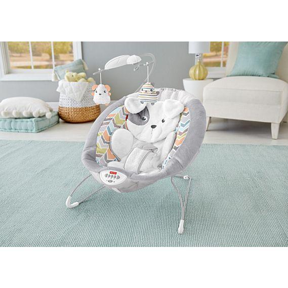 Fisher Price Sweet Snugapuppy™ Dreams Deluxe Bouncer DTH04