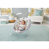 Fisher Price Sweet Snugapuppy™ Dreams Deluxe Bouncer DTH04
