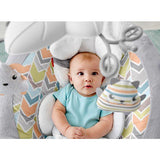 Fisher Price Sweet Snugapuppy™ Dreams Deluxe Bouncer DTH04